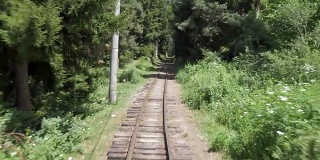 从森林里最后一辆马车的窗口望向铁路——佐治亚