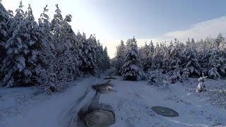 航拍冬雪针叶林的圣诞森林视频素材模板下载
