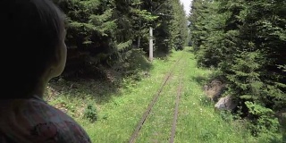 从森林里最后一辆马车上望着铁路的女孩——佐治亚