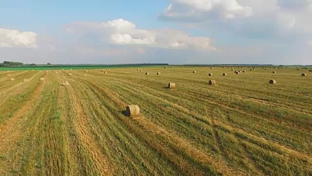 飞行在作物小麦或黑麦地与秸秆草捆。收获农业农场农村空中全高清视频背景。面包生产观念