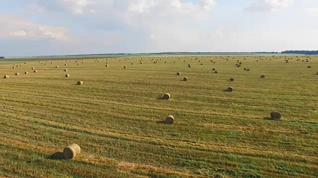 飞行在作物小麦或黑麦地与秸秆草捆。收获农业农场农村空中全高清视频背景。面包生产观念