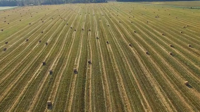 飞行在作物小麦或黑麦地与秸秆草捆。收获农业农场农村空中全高清视频背景。面包生产观念