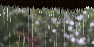 热带夏雨滴落在花园的稻草屋顶上。印尼巴厘岛