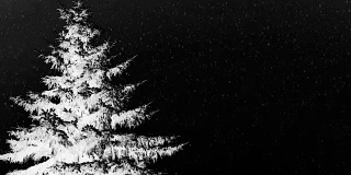 冬季孤独的圣诞树-红外景观。雪花落在漆黑的天空上。为你的文本复制空间。