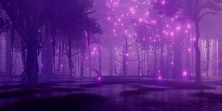 仙女萤火虫在沼泽地的夜森林里发光