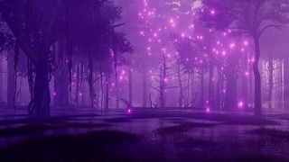 仙女萤火虫在沼泽地的夜森林里发光视频素材模板下载