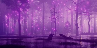 童话般的沼泽夜森林中的神秘之光