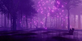夜森林沼泽与神秘的萤火虫光