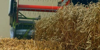 联合收割机收割小麦