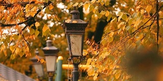 古色古香的灯笼在黄秋公园里随风飘动，自然在公园里
