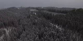 飞越北部冬季森林上空，鸟瞰图