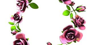 白色文本空间上的粉红玫瑰框架