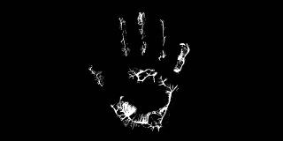 The palm print on a black background video animation