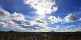 葡萄园与移动的积云和灿烂的太阳，在法国南部的奥德