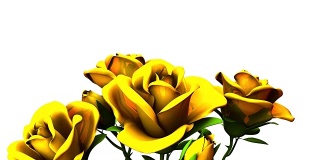 白色文字空间上的黄色玫瑰花束