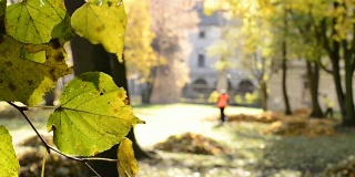 工人们在秋季公园用耙子耙落叶。