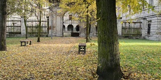 古老的历史大门在秋季公园。