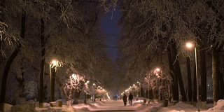 情侣们在城市公园的冬季夜晚散步