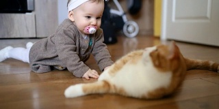 可爱的小女孩在和猫玩