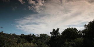 戏剧性的天空与暴风雨的云移动和树，法国