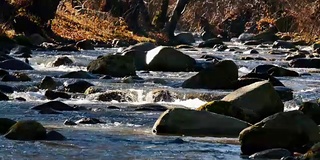 河岩树秋4k