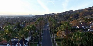 棕榈树林立的街道鸟瞰图