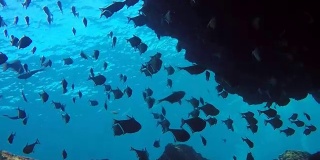 水下深海洞穴，“烟囱”，科哈，甲米，泰国