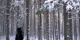 女孩拉了一根被雪覆盖的松树树枝，雪从树枝上掉了下来
