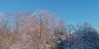 无人机拍摄沿街与公园、被霜覆盖的树木、住宅和办公楼的轨道摄像头运动。