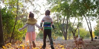 哥哥和妹妹带着狗在黄叶中慢镜头奔跑，一对夫妇在秋天公园的背光中手牵着手