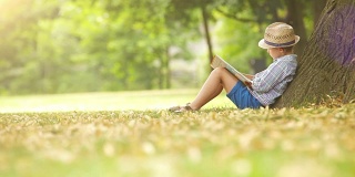 在一个阳光明媚的夏日，男孩坐在树旁看书