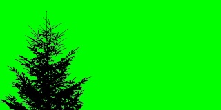 绿色的屏风上有一棵云杉在风中飘扬
