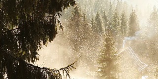 山上春天的早晨:雪慢慢融化，从树枝上滴下来