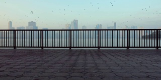 鸟在码头上空飞翔。早晨在散步道上铺瓷砖和铺面。锁定拍摄。在地平线轮廓。