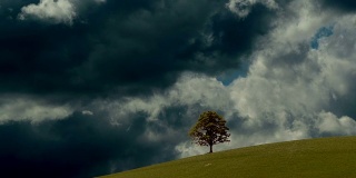 草原山地平线单棵树的建立拍摄，背景为浮云