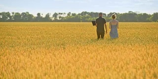 农民们在麦田里散步。农业工人在美丽的黄色田野里