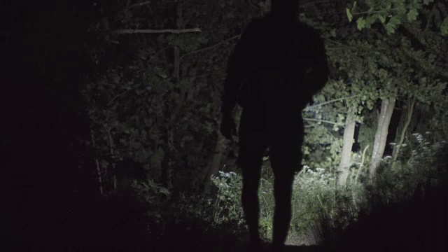 晚上在森林里孤独的行走