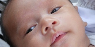 面部表情由婴儿新生，缩小
