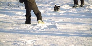 狗在雪中奔跑