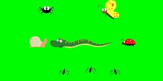 可爱的昆虫。蜘蛛，蝴蝶，蜗牛，蛇，瓢虫和池塘溜冰者在绿色屏幕上