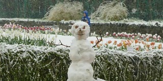 在春天的公园里有一个雪人，并且正在下雪