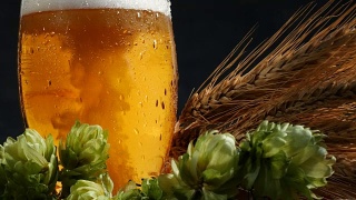 啤酒杯与麦芽和啤酒花。往玻璃杯里倒啤酒。视频素材模板下载
