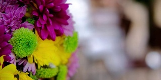 一束五颜六色的菊花。挂着花。盛开的aster。装饰植物