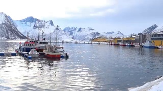冬季，挪威北部Senja岛Øyfjorden的Husøy渔港和村庄视频素材模板下载
