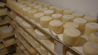 奶酪制作。木质架子上成熟的奶酪视频素材模板下载