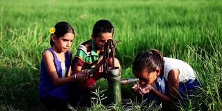 孩子们在大自然中饮用淡水