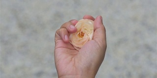 女人用手捏着玫瑰花