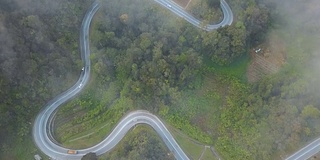 鸟瞰图公路旅行或蜿蜒的道路在森林卡梅伦高地，布林昌，马来西亚