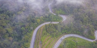 鸟瞰图公路旅行或蜿蜒的道路在森林卡梅伦高地，布林昌，马来西亚