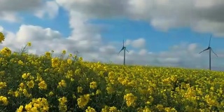 法国用于发电的油菜籽田和风车。在一个阳光明媚的日子里的农业景观。环保电力生产，可再生能源理念